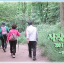 식장산 숲길 이미지