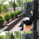 카페다비다