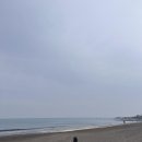 세븐일레븐 제주삼양해수욕장점 | [제주] 삼양해수욕장 검은모래해변 제주조용한해수욕장 제주숨은명소 내돈내산솔직후기