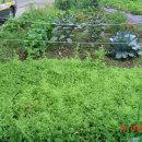 비산농장 이미지