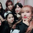 이맘때 생각나는 Love bug 이미지