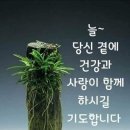 너참예쁘다 이미지