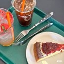 WICKER PARK(위커파크) | 수원 광교 강아지랑 가기 좋은 애견동반카페 위커파크