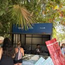 괴평입구자전거도로 | 툴룸(TULUM) 자전거 여행 코스, 해변 레스토랑 펍 (EL PARAISO) 추천 - 툴룸 자전거 여행 2