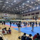 용인대 은성 태권도 이미지