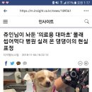 행복한댕댕이 이미지