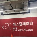 조은꽃 | [서울/구의역] 서울 8월 전시회 추천｜그라운드시소이스트 조은 원화전 < 오늘의 정원 > 관람 후기