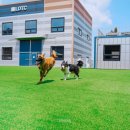 루카스독트레이닝 이미지