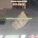 (주)성진플로링