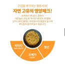 (주)좋은나무좋은열매 | 다이어트&붓기 관리에 좋은 “비타민나무 열매 분말”솔직 후기 / 국내산 / 혈당 스파이크 예방&체지방...