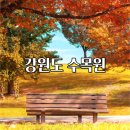 양구자연생태공원(생태식물원,DMZ야상화분재원,DMZ야생동물생태관) | 강원도 수목원 : 설악자생식물원 양구수목원