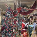 킴스베리 | 일산 킴스델리마켓 베이글 두바이 초코 소라빵 베이커리 대형카페 후기