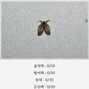 파리 이미지