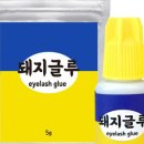 럽스위치