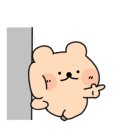 아꼬아 이미지