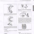 꿀벌의 해부와 생리(대전 보건환경연구원 정년기 저) 이미지