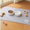 프라이펫 이미지