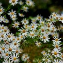 개울건너집 민박 이미지