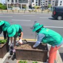 마산동행정복지센터 이미지