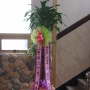 그린한방허브 이미지