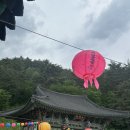 현덕사 | [강릉] 강원도 템플스테이_현덕사_휴식형 체험 후기!!🪷