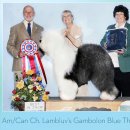 AKC's Weekly Winners Gallery - July 14, 2010 이미지