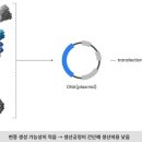 혜성바이오 이미지