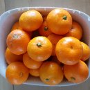 선화농원 이미지