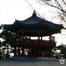 달맞이 이미지