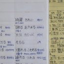 [일본어] 일본어능력시험 JLPT N2 독학 합격 수기 &amp; N2 시험 복기