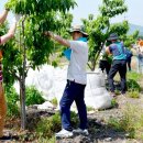 산정축산 이미지