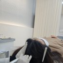 플란트열 이미지