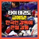 국가대표 태권도 금메달도장 이미지