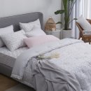 레노마홈 이미지