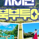 놀다투어
