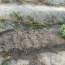 화원농장3 이미지