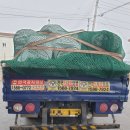 전라북도 고창에 위치한 곤충사육장으로 굼벵이톱밥 납품후기/ 굼벵이키우기/ 굼벵이먹이/ 굼벵이사료...