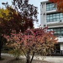 양지-3102 | 쌀국수 맛집,꾸아 이대점