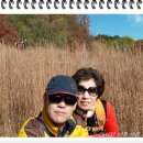 서촌초교 이미지