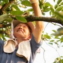 이연옥농장 이미지