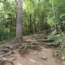 다산초가 이미지