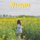 강서구-19 | 부산 유채꽃 명소 대저생태공원 4월 주말 후기