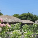 민속촌주차장 이미지