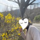 구암동541 이미지