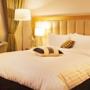 소노캄 고양 이미지