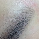 사파동213 | 기법 자연눈썹, 잔흔제거까지 완벽하게 올랑101에서 하고 온 후기 | 눈썹 숱 없는 사람 / 창원눈썹잘하는곳