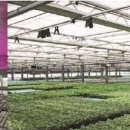 박철수농장 이미지