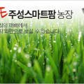 농업회사법인(주)주성 이미지