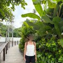 퍼피빌리지 | 발리 짱구·스미냑 여행 일정｜요가·빌리지 쇼핑·빈땅마켓