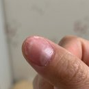 포쉬네일 롯데평촌점 이미지